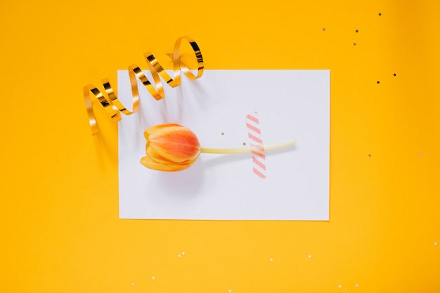 Decoraciones de oro de la estrella del día de fiesta y espacio en blanco limpio blanco con el tulipán rojo para su texto en fondo amarillo. Concepto de planificación