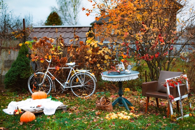 Decoraciones en el patio trasero para relajarse en el jardín de otoño.