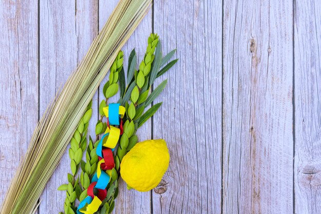 Decoraciones para Sucot en cidra fresca, etrog la festividad judía