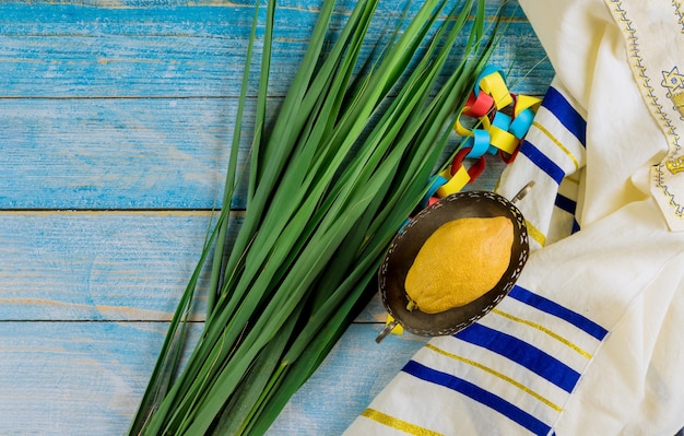 Decorações Celebração do feriado judaico de Sucot com quatro espécies etrog, lulav, hadas e arava