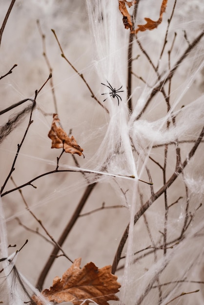 Decorações de Halloween teia de aranha branca no fundo de velas queimadas em uma sala escura à noite horror vertical