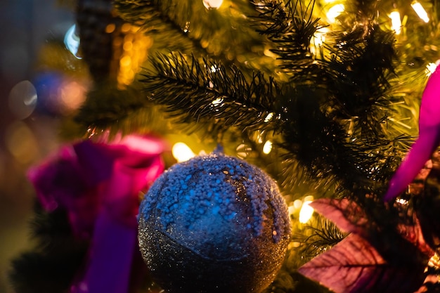 Decorações de Natal: bola roxa pendurada em um galho de árvore do abeto