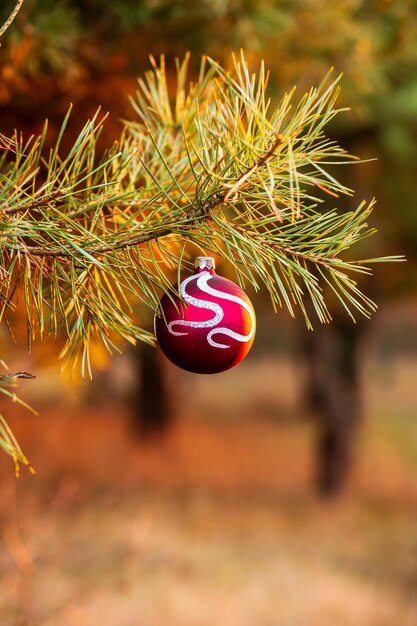 Decorações de Natal Bola vermelha pendurada em um galho de pinheiro na floresta Foco suave fundo bokeh Profundidade de campo rasa