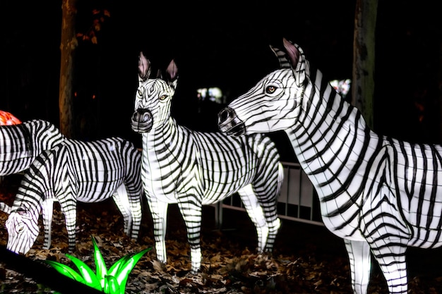 Decorações de Natal com luzes de animais na escultura de Zebras em Torrejon de Ardoz Madrid Espanha