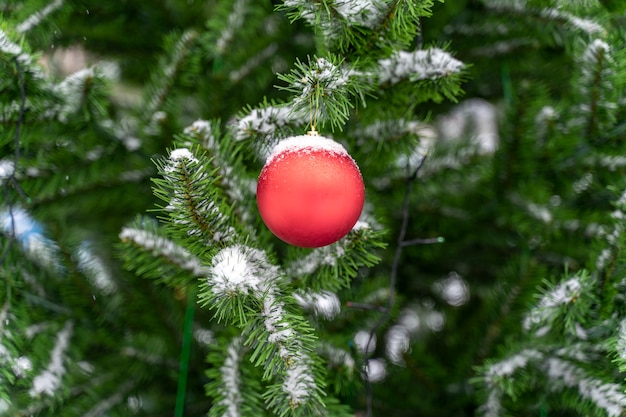 Decorações de Natal em uma árvore coberta de neve ao ar livre.