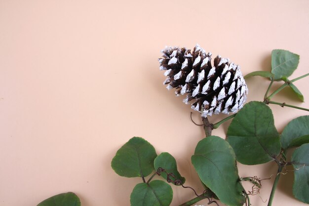 Decorações do Natal e videiras e cones secados do pinho em uma luz - fundo amarelo.