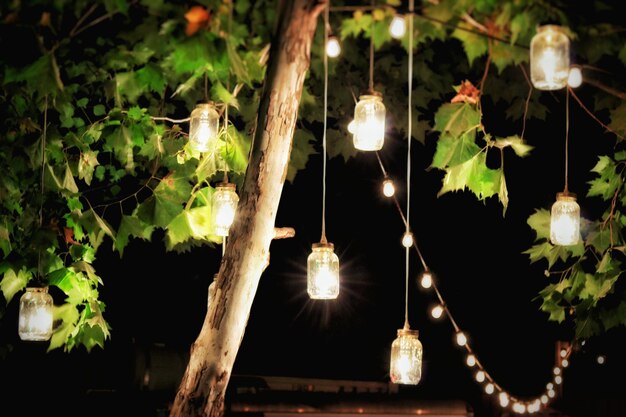Decorações iluminadas penduradas em árvores no quintal à noite