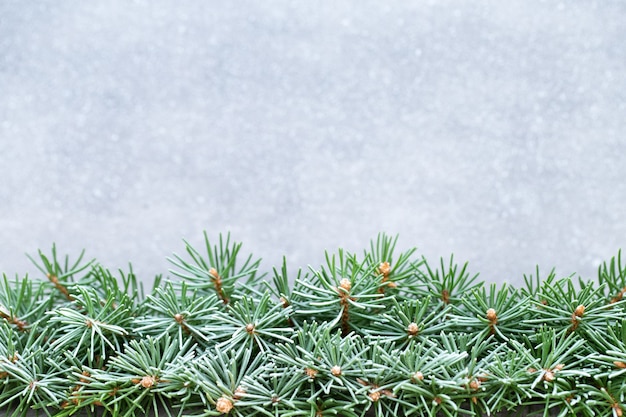 Decorações para árvores de Natal em um fundo de bokeh.