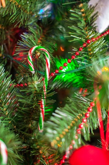 Foto decorando a árvore de natal