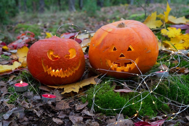 Decorando o jardim de halloween