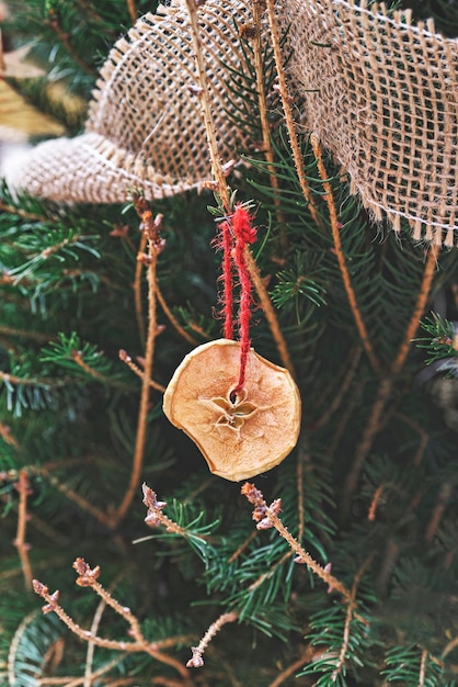 Decorar árbol de Navidad con trozo de manzana seca con cinta Adornos navideños naturales para árbol de Navidad zero waste