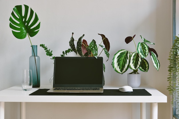 Decorar la oficina en el hogar con plantas de árboles naturales verdes  espacio de trabajo y