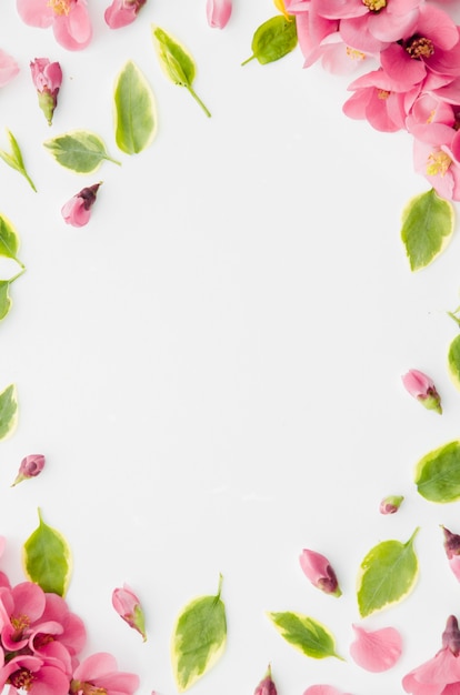 Decorative floral frame