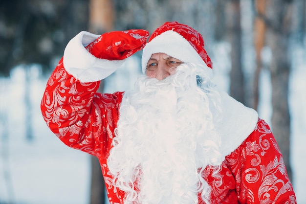 Ded Moroz Väterchen Frost mit langem weißem Bart freut sich im Winterwald.