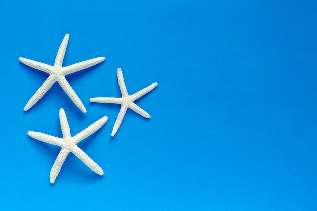 Dedo blanco Starfish sobre fondo azul.