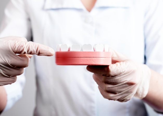 Foto dedo índice del dentista apuntando a la inflamación de la encía en el modelo de mandíbula con dientes y punto rojo diagnóstico y tratamiento de enfermedades periodontales concepto de higiene bucal de estomatología