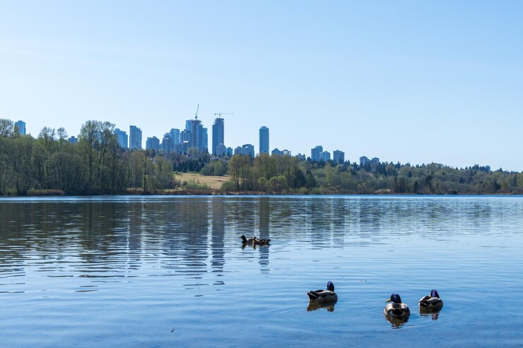 Deer Lake Park Lakeshore Metrotown edificios modernos horizonte en el fondo Burnaby BC Canadá