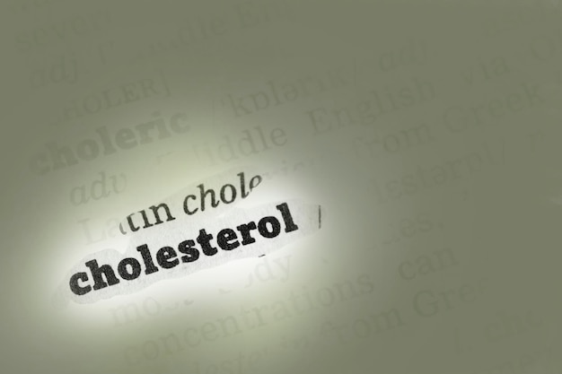 Definition im Wörterbuch für Cholesterin