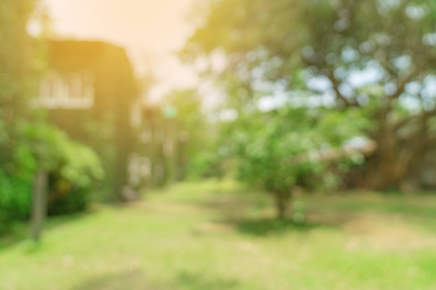 defocused bokeh und verwischen Hintergrund von Gartenbäumen im Sonnenlicht.