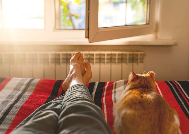 Deitado e relaxando na cama com gato