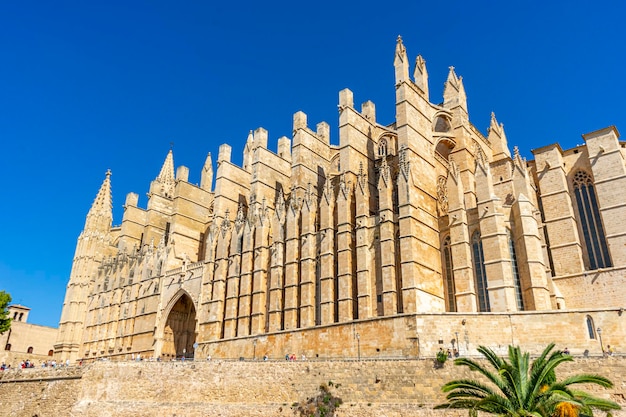 Deixe que as detalhadas esculturas, arcos e pedras das catedrais de Maiorca o levem a um mundo de maravilhas espirituais e mestria arquitetônica.