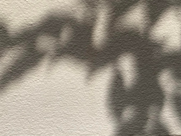 Foto deja el fondo de la sombra en la textura del piso de madera deja la sombra de las ramas de los árboles con la luz del sol