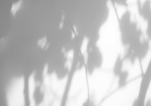 Deja superposición de sombra natural sobre fondo de textura blanca, para superposición en la presentación del producto, telón de fondo y maqueta, concepto de temporada de verano