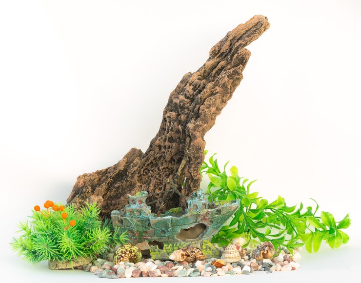 Dekoration für ein Aquarium weißer isolierter Hintergrund