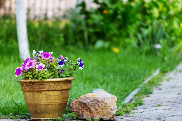 Dekoration im Garten