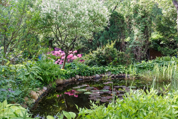 Dekorative Bäume Sträucher und Blumen im Garten mit Teich