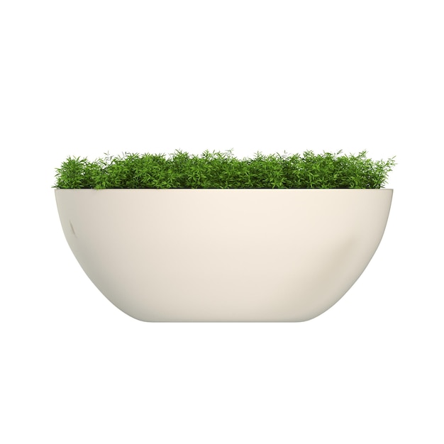 dekorative Blume in einem Topf isoliert auf weißem Hintergrund 3D-Illustration cg render