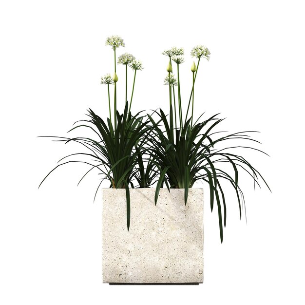 dekorative Blumen und Pflanzen für den Innenraum, isoliert auf weißem Hintergrund, 3D-Darstellung, cg r