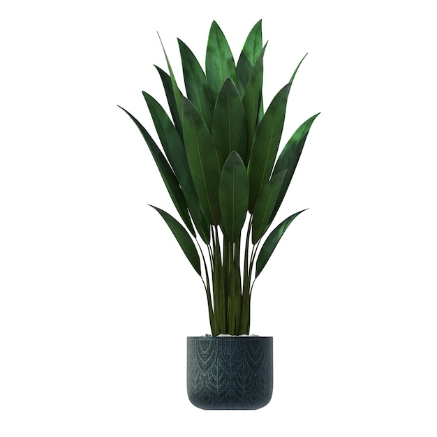 dekorative Blumen und Pflanzen für den Innenraum, isoliert auf weißem Hintergrund, 3D-Darstellung, cg re