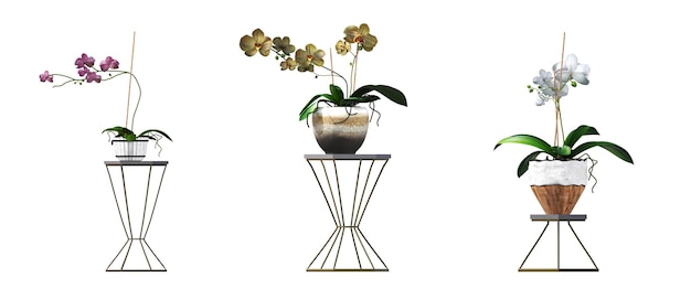 dekorative Blumen und Pflanzen für den Innenraum isoliert auf weißem Hintergrund 3D-Darstellung cg re