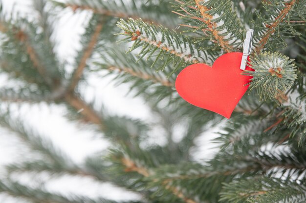 Dekorative Herzformverzierung Valentines auf einer Birke