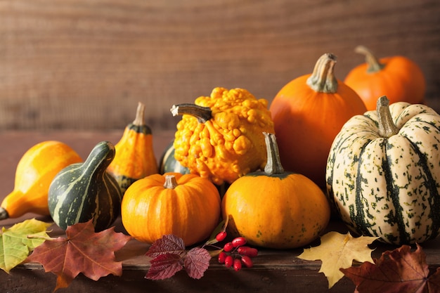 Dekorative Kürbisse und Herbstlaub für Halloween