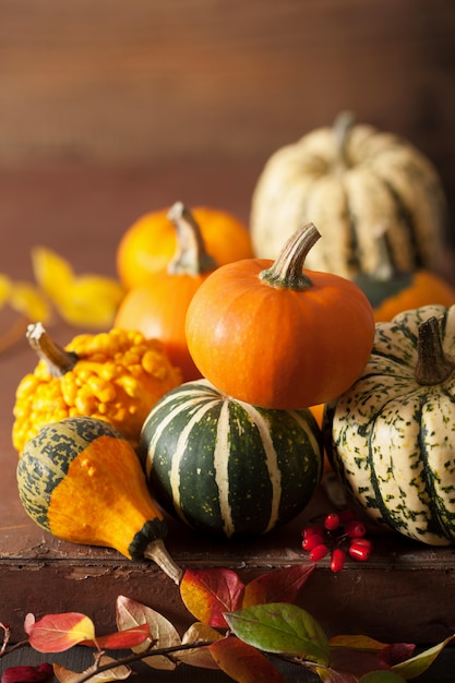 Dekorative Kürbisse und Herbstlaub für Halloween