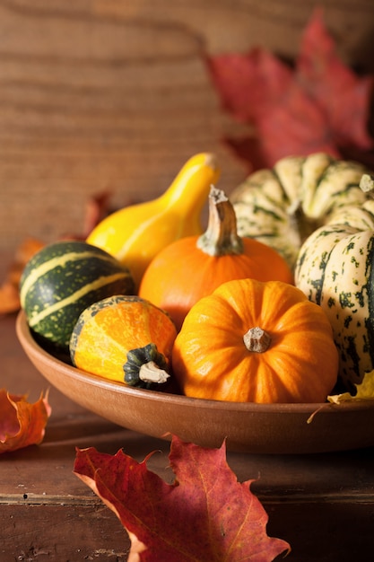 Dekorative Kürbisse und Herbstlaub für Halloween