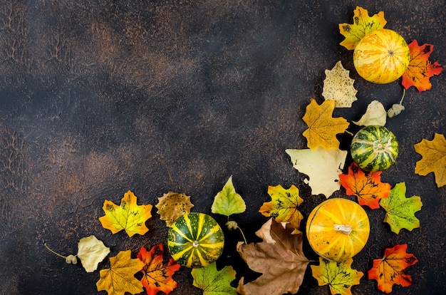 Foto dekorative minikürbisse mit getrockneten herbstblättern auf dunklem hintergrund