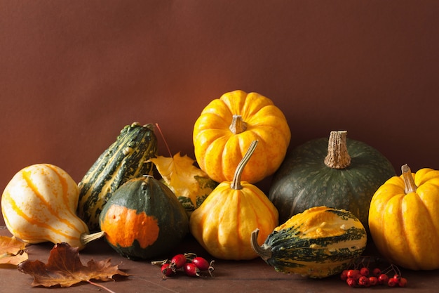 Dekorative Minikürbisse und Herbstlaub für Halloween