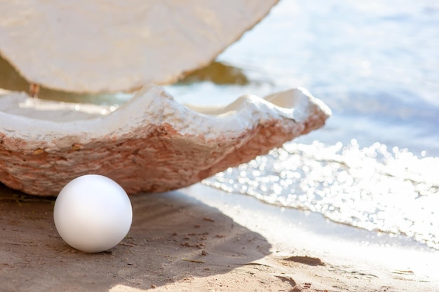 Dekorative offene große Muschel und eine große weiße Perle am Strand an einem sonnigen Tag