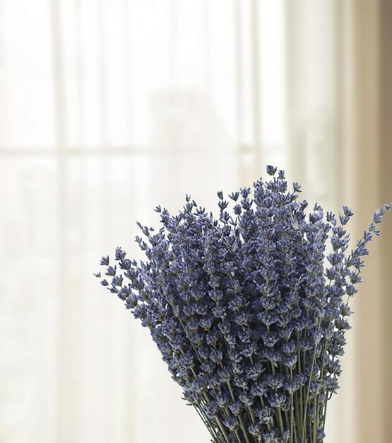 Dekorative trockene Blumen auf Schlafzimmerhintergrund