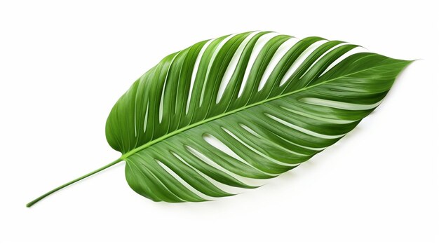 Dekorative tropische Pflanzen grünes Blatt Set Design KI generiert