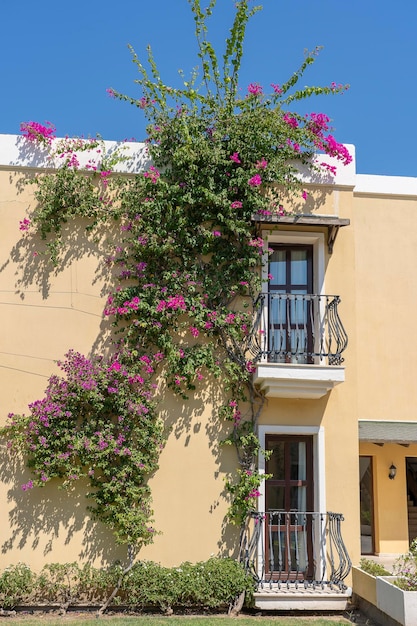 Dekorativer Balkon eines Hauses und Blumenbaum an der Wand in der Türkei