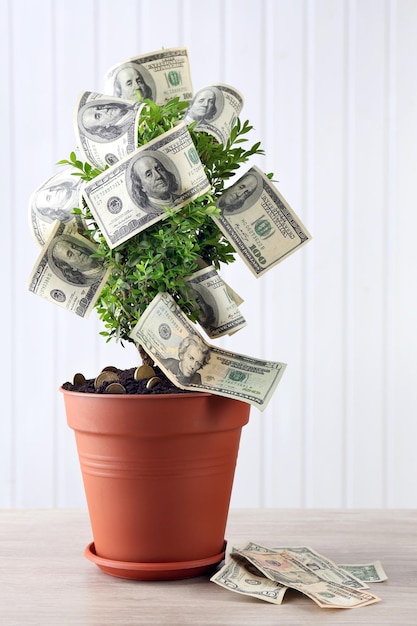 Dekorativer Baum im Topf mit Geld auf hölzern Hintergrund