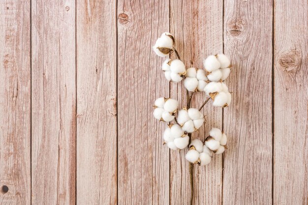 Dekorativer Baumwollzweig mit vielen Knospen auf hellem Holztisch