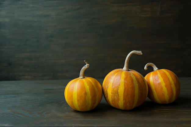 Dekorativer Kürbis. Halloween-Stillleben.