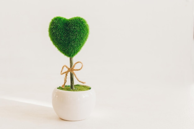 Dekorativer Topf mit einer grünen Blume in Form eines Herzens. Romantische Komposition. Tonen.