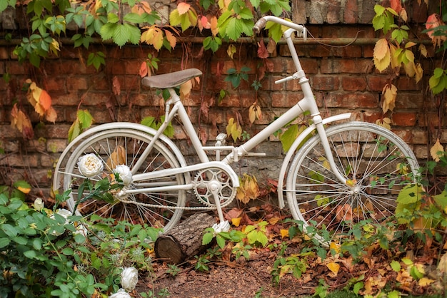 Dekoratives Fahrrad geparkt gegen eine Mauer im Garten. Dekoration Hinterhof. Herbstgartenecke.