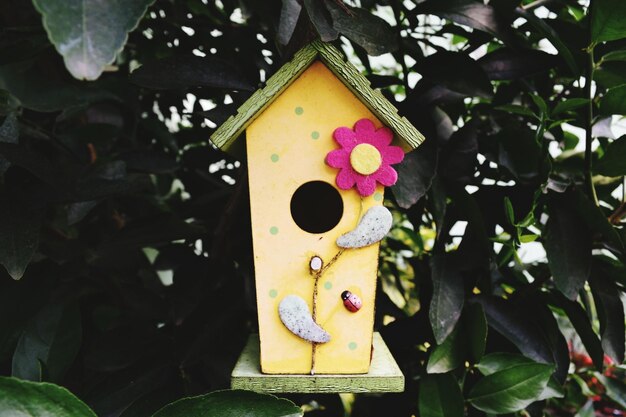 Foto dekoriertes vogelhaus gegen pflanzen